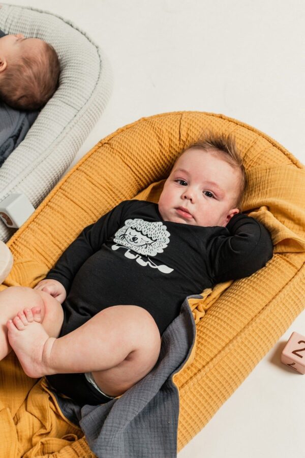 Beba bodi Jungle King of the jungle