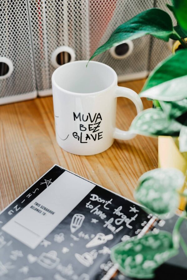 Šolja Muva bez glave