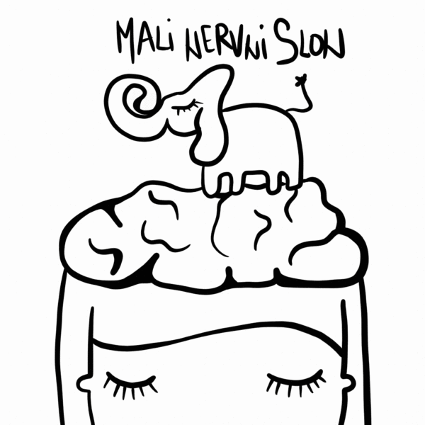 Mali nervni slon